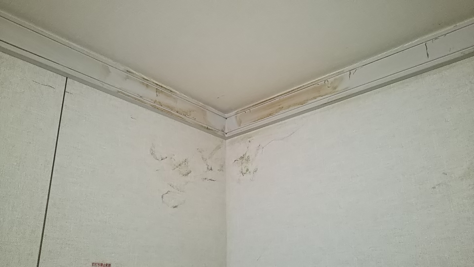 堺市北余部発 3dk空室ハウスクリーニング 壁の汚れ落とし はなクリーンサービスです
